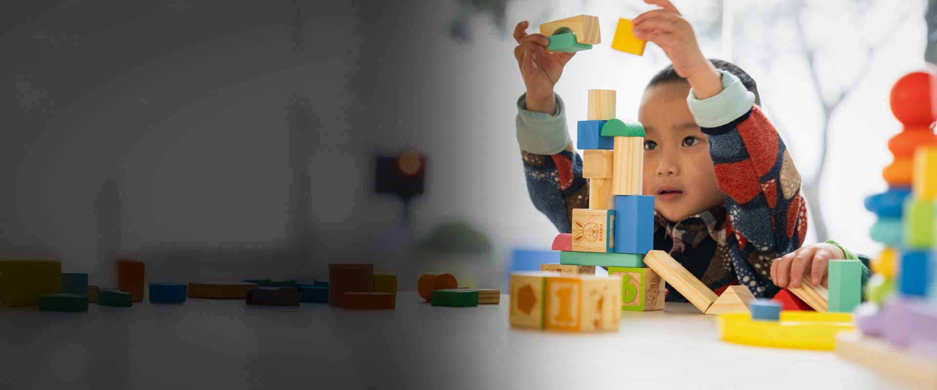ECIS-header-2