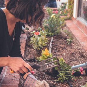 Gardening-300x300